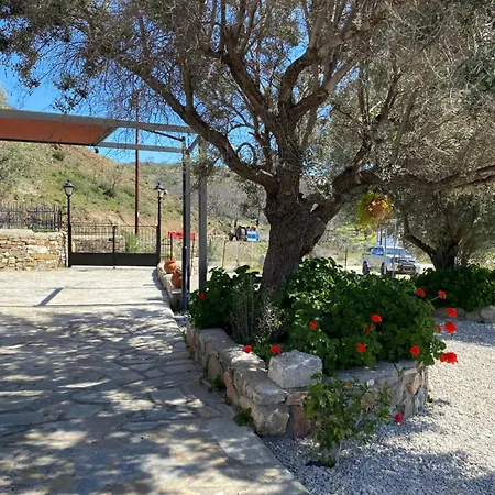 Cullura * Asklipiion