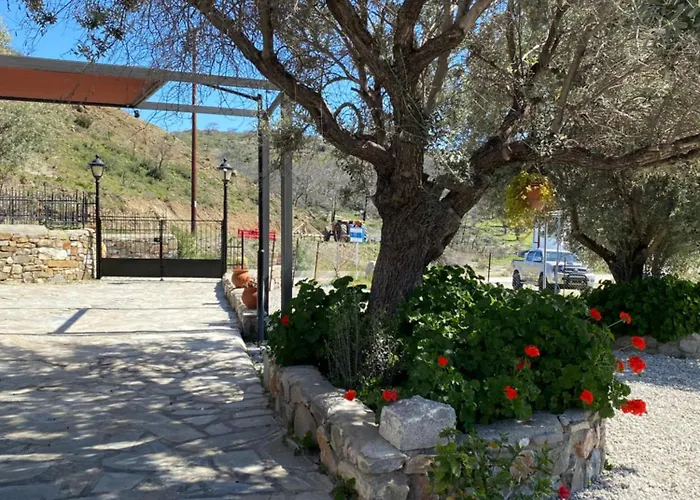 Cullura * Asklipiion